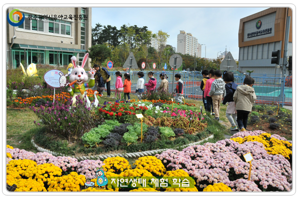 자연생태1 사본(1).jpg
